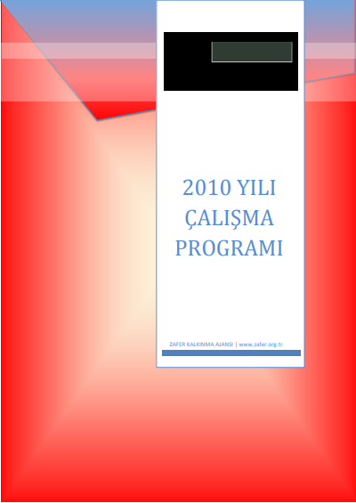 2010 Yılı Çalışma Programı