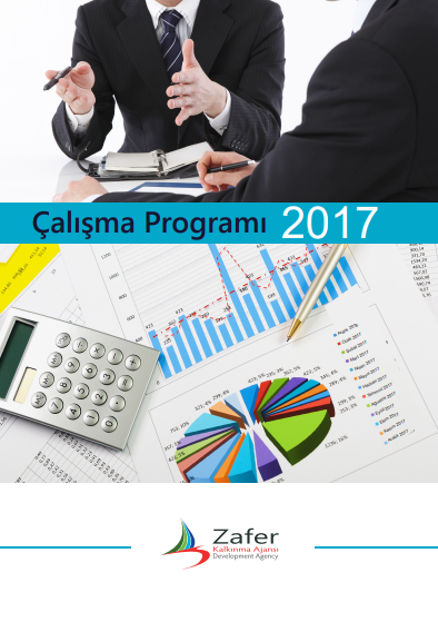 2017 Yılı Çalışma Programı