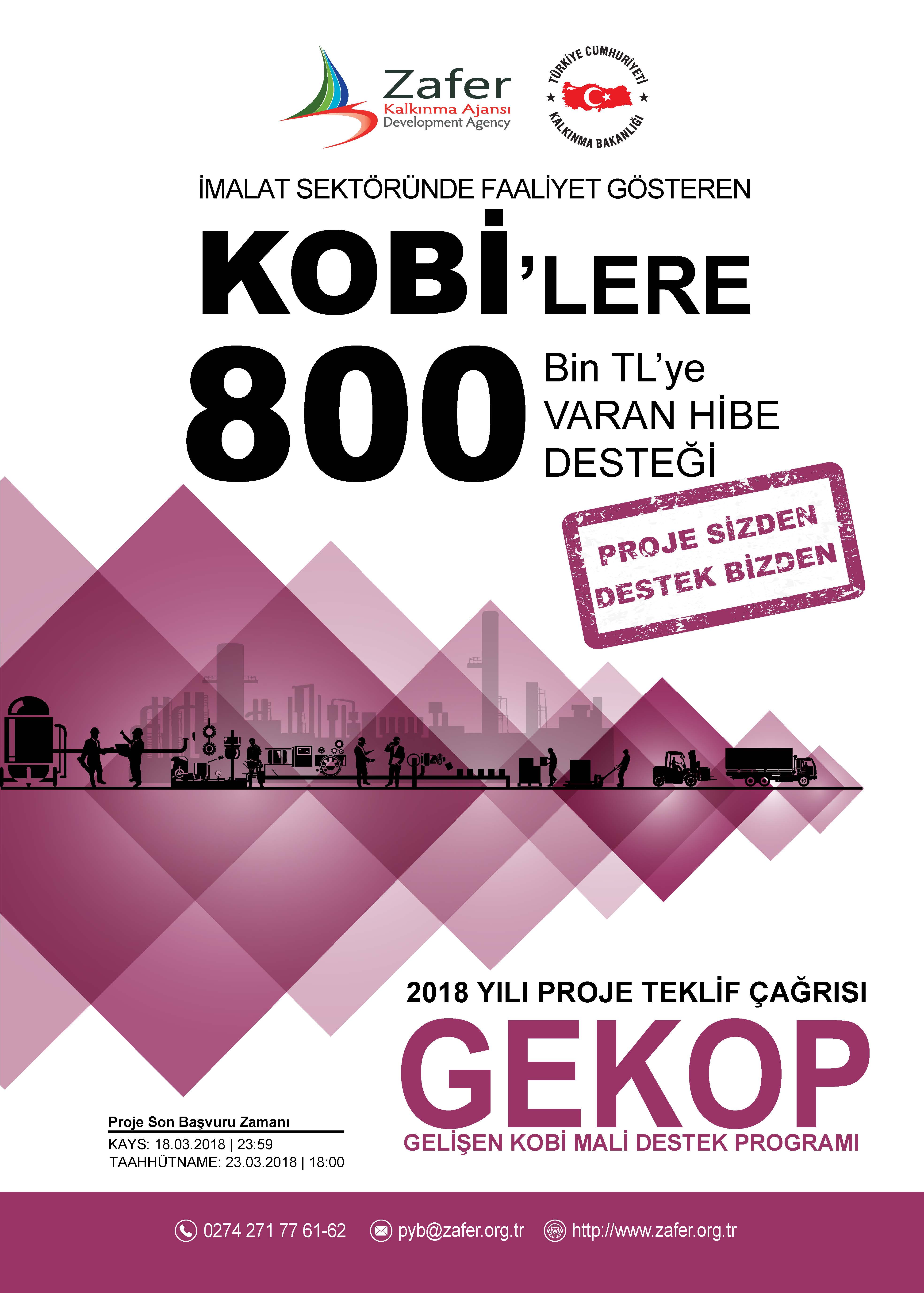 Gelişen KOBİ Mali Destek Programı (GEKOP)