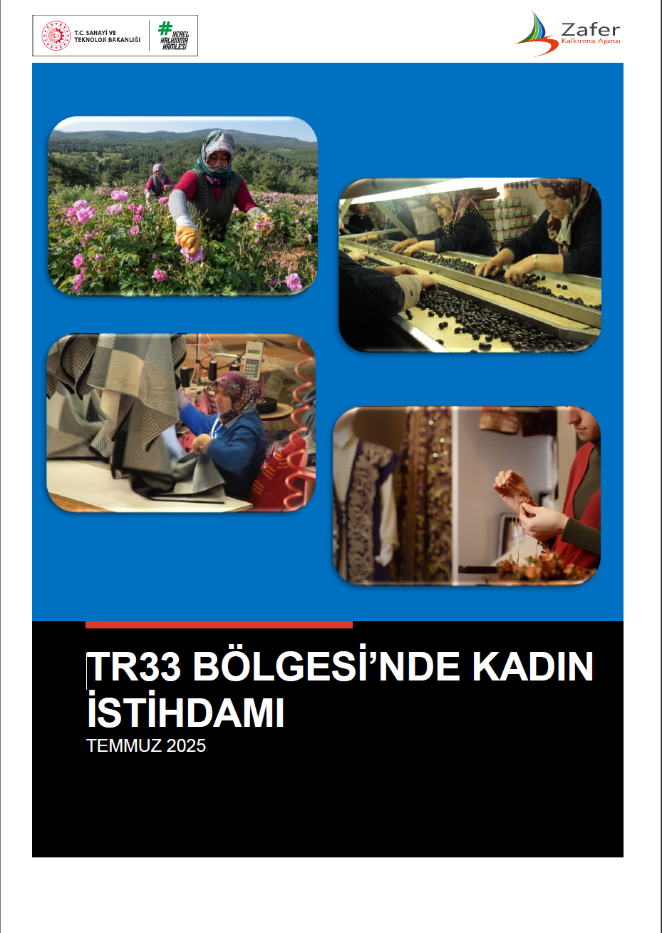 TR33 Bölgesinde Kadın İstihdamı Raporu